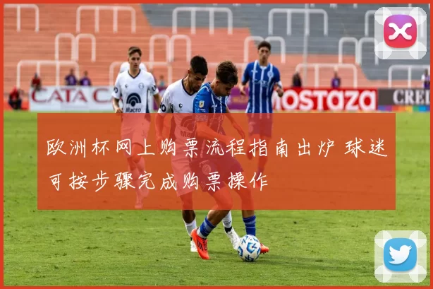 欧洲杯网上购票流程指南出炉 球迷可按步骤完成购票操作