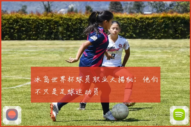 冰岛世界杯球员职业大揭秘:他们不只是足球运动员