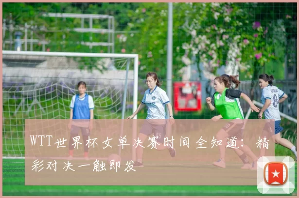 WTT世界杯女单决赛时间全知道:精彩对决一触即发