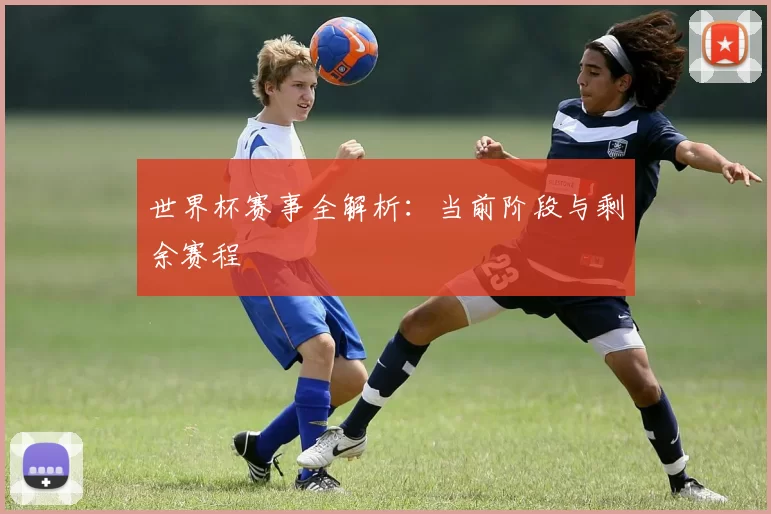 世界杯赛事全解析:当前阶段与剩余赛程