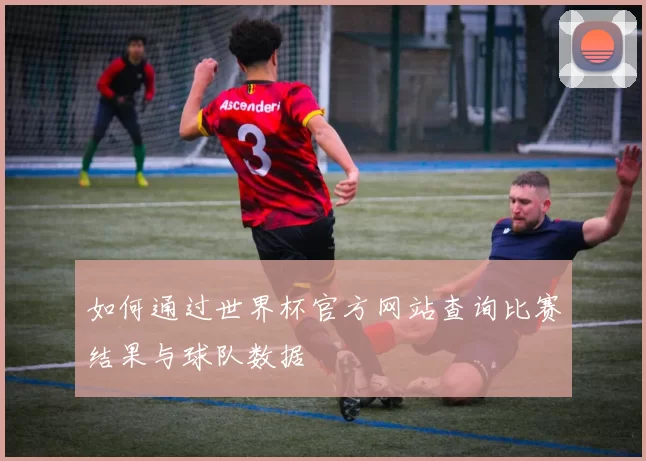 如何通过世界杯官方网站查询比赛结果与球队数据