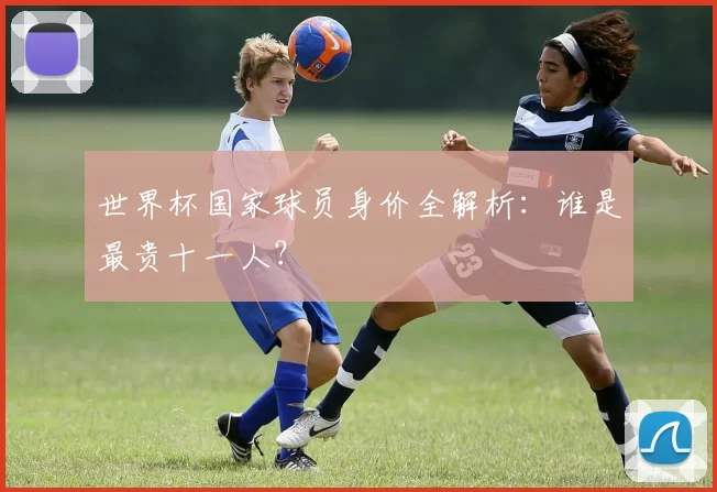 世界杯国家球员身价全解析:谁是最贵十一人?