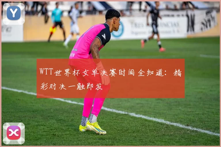 WTT世界杯女单决赛时间全知道：精彩对决一触即发