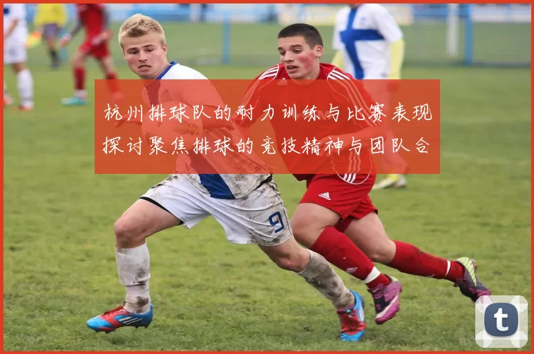 杭州排球队的耐力训练与比赛表现探讨聚焦排球的竞技精神与团队合作
