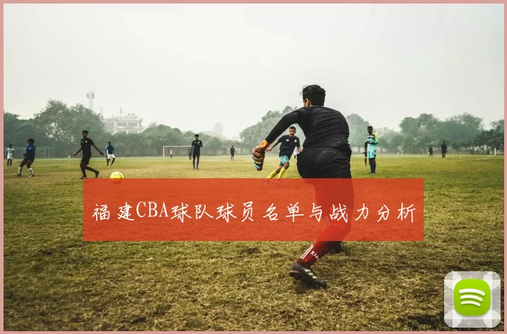 福建CBA球队球员名单与战力分析