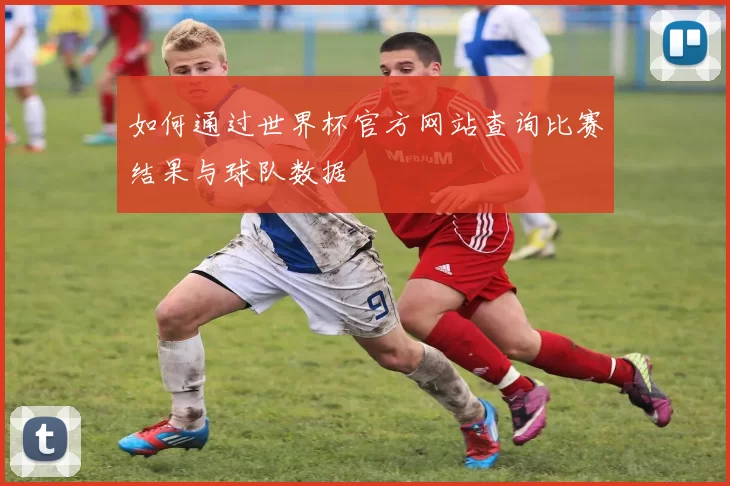 如何通过世界杯官方网站查询比赛结果与球队数据