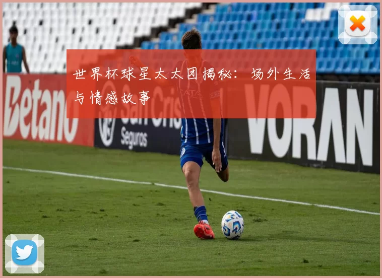 世界杯球星太太团揭秘：场外生活与情感故事