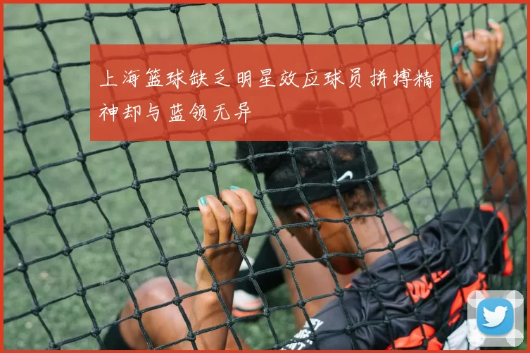 上海篮球缺乏明星效应球员拼搏精神却与蓝领无异