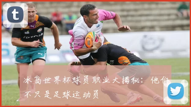 冰岛世界杯球员职业大揭秘:他们不只是足球运动员